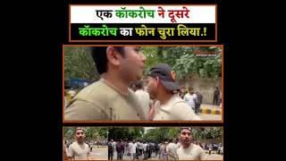 एक कॉकरोच ने दूसरे कॉकरोच का फोन चुरा लिया.!